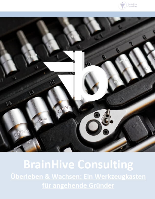 Businessplanberatung-Überleben und Wachsen-BrainHive-Cover-1