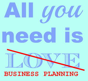 i need a business plan writer